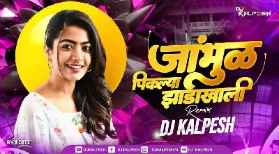 Jambhul Pikalya Jhadakhali (Remix) DJ KALPESH
